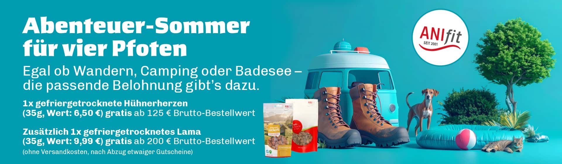 Abendteuer-Sommer für vier Pfoten