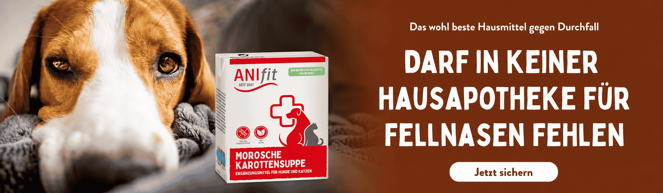 Morosche Karottensuppe