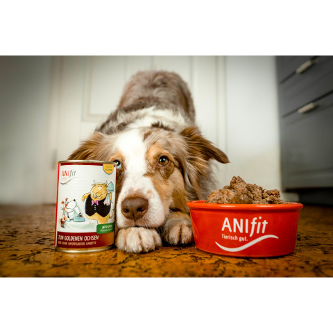 Hund Hundefutter Nassfutter Zum Goldenen Ochsen 200g 6 Stück -5- Anifit